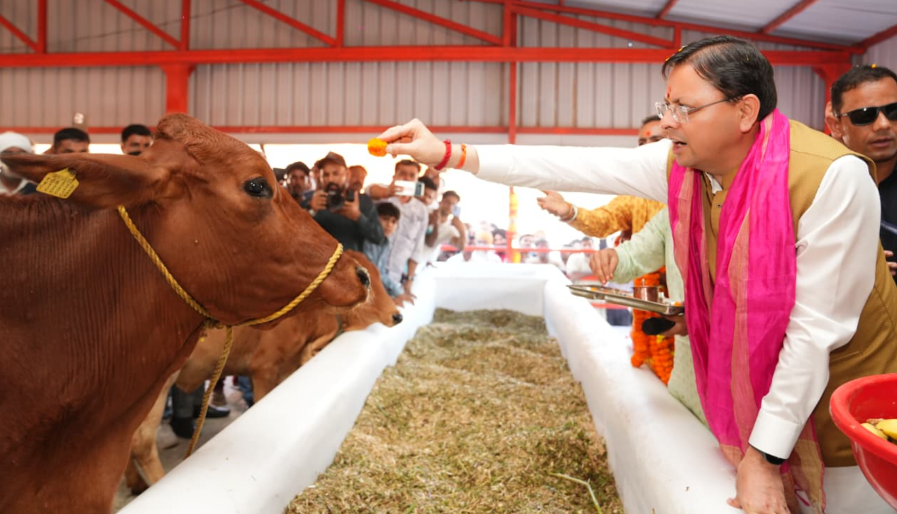 मुख्यमंत्री ने हल्दीघेरा, खटीमा में ₹7.23 करोड़ की लागत से निर्मित गौशाला का किया लोकार्पण